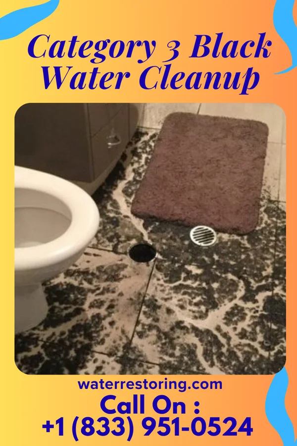 Category 3 Black Water Cleanup in New Bedford, MA