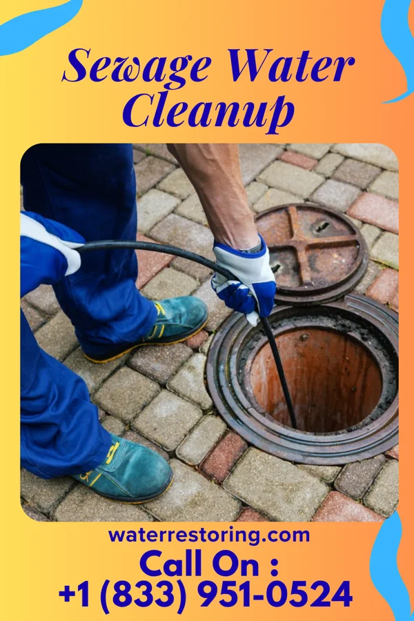 Sewage Water Cleanup in New Bedford, MA
